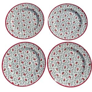 Sur La Table Strawberry Dinner Plates Set of 4 Cottagecore Coquette Kitchen Red